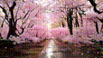 xgen-vidsyn.gif